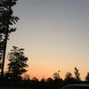 _allanah_17_